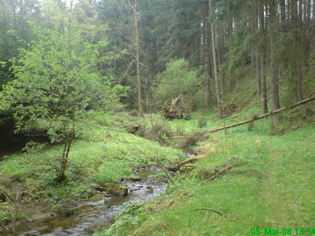 Zaubertal