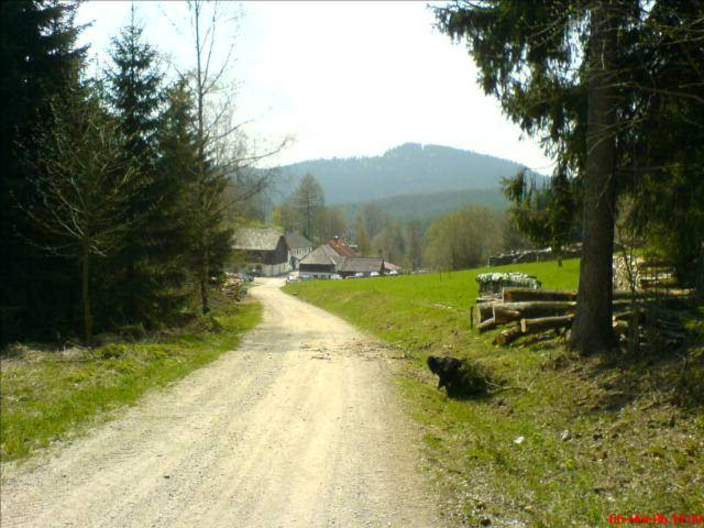 Mittagsrast_moserwirt_1