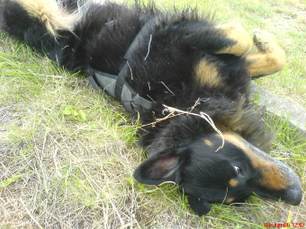 Samrcken601_1 Samrcken601_1