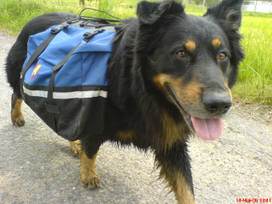 Samrucksack322 Samrucksack322