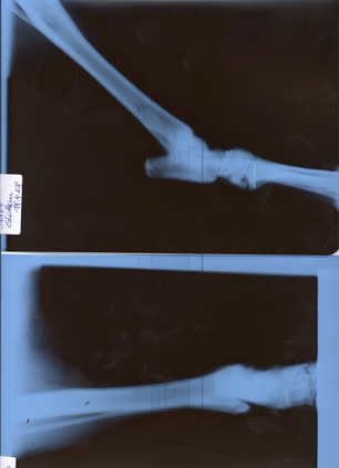 Roentgen_april2008_2 Roentgen_april2008_2