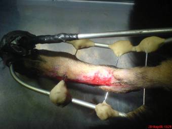 Verbandwechsel1003_1